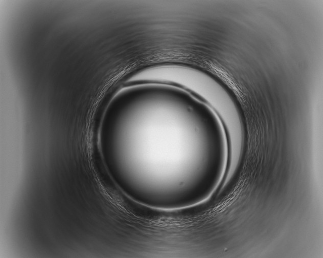 X0000096980538200802081409