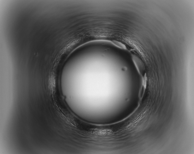 X0000096980539200802081409