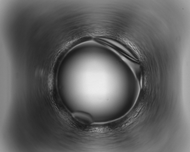 X0000096980540200802081409