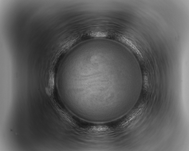 X0000096980541200802081409