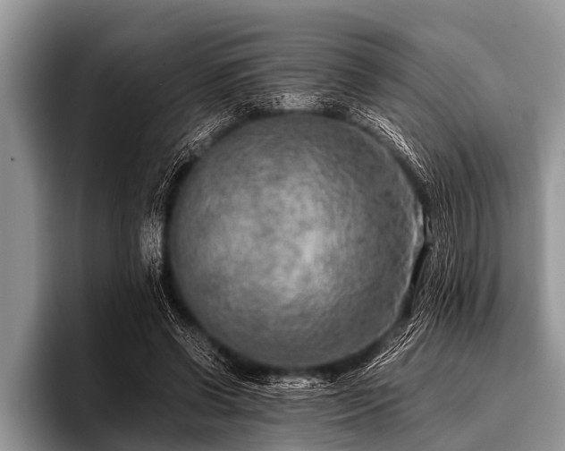 X0000096980542200802081409