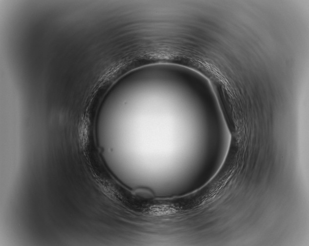 X0000096980544200802081409