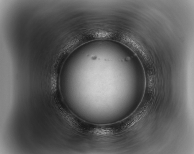 X0000096980545200802081409