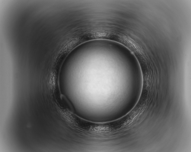 X0000096980546200802081409