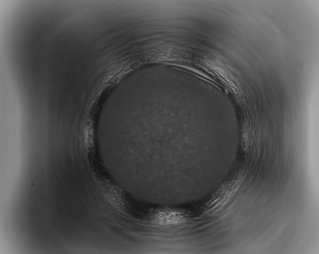 X0000096980547200802081409