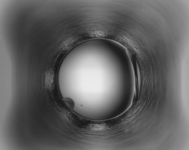 X0000096980548200802081409