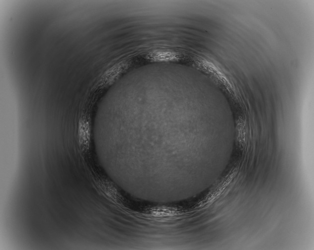 X0000096980549200802081409