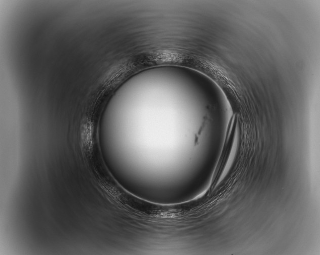 X0000096980550200802081409