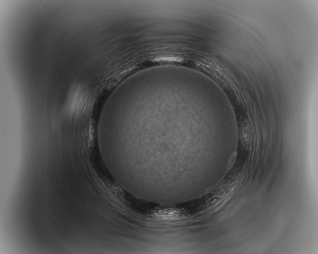 X0000096980551200802081409