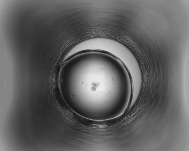 X0000096980552200802081409