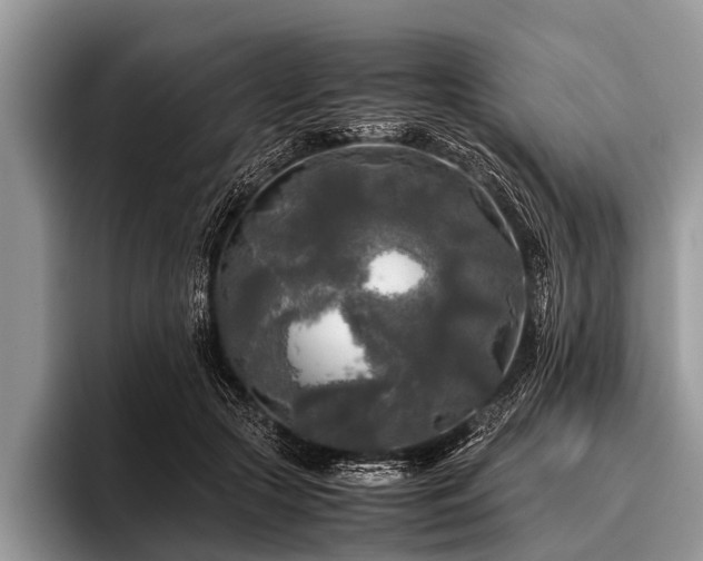 X0000096980553200802081409