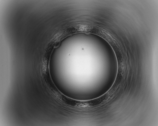 X0000096980554200802081409