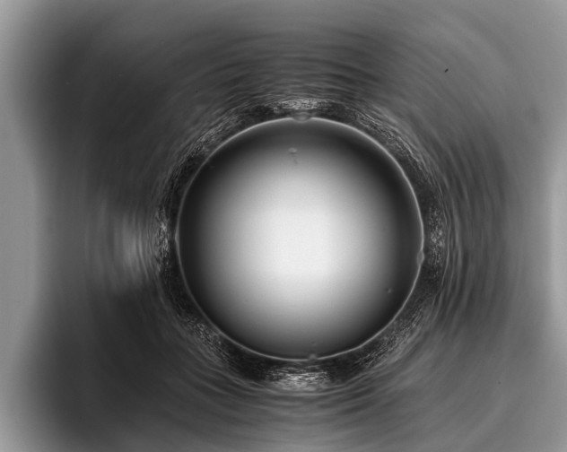 X0000096980555200802081409