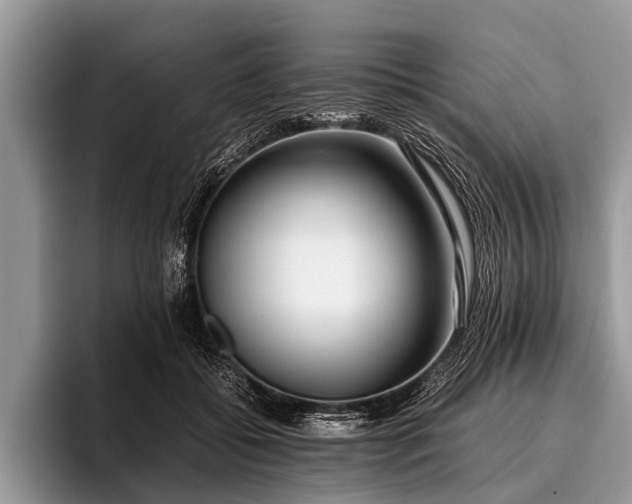 X0000096980556200802081409