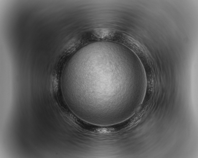 X0000096980558200802081409