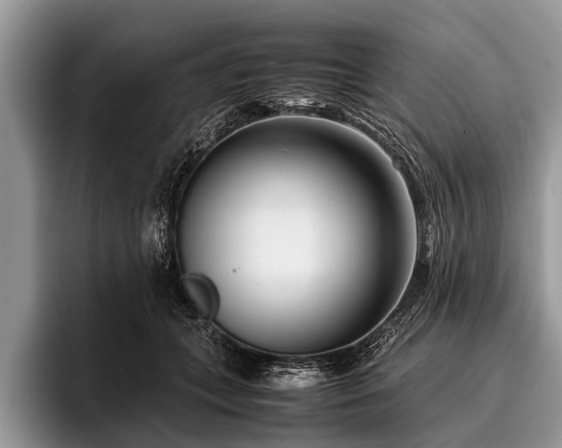 X0000096980559200802081410