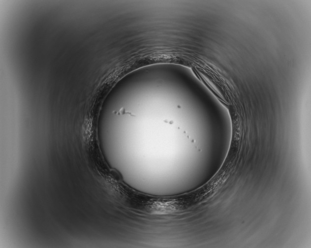 X0000096980560200802081410