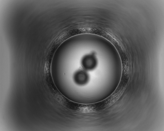 X0000096980561200802081410