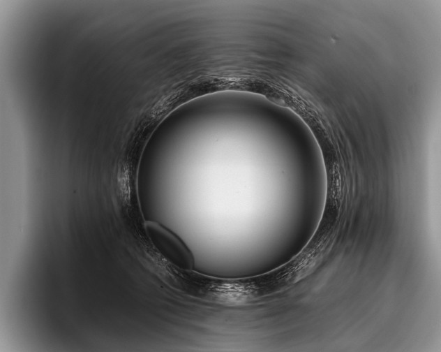 X0000096980562200802081410