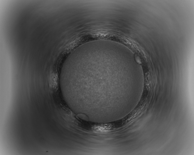 X0000096980563200802081410