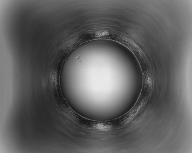 X0000096980565200802081410