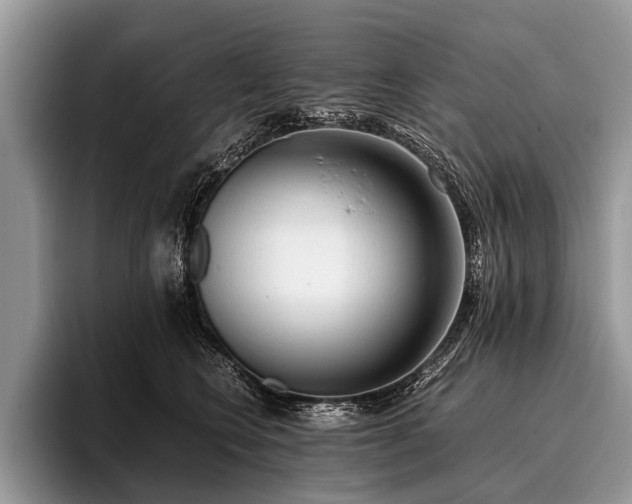 X0000096980566200802081410