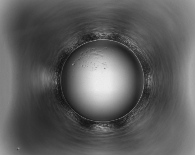 X0000096980567200802081410