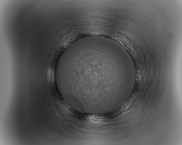 X0000096980568200802081410