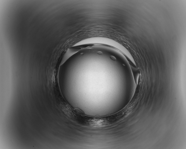 X0000096980570200802081410