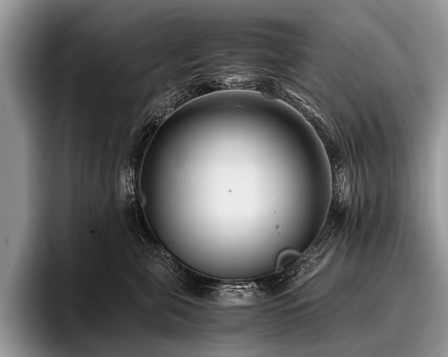 X0000096980571200802081410