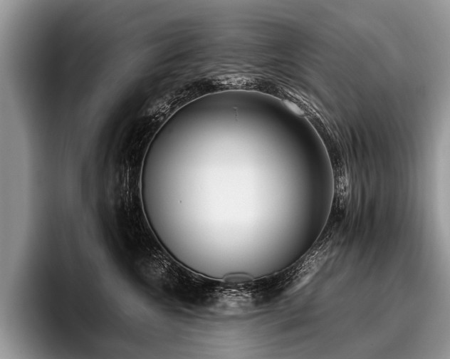 X0000096980572200802081410