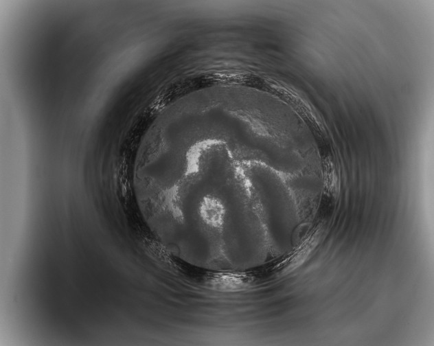 X0000096980573200802081410