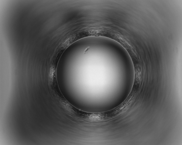 X0000096980574200802081410