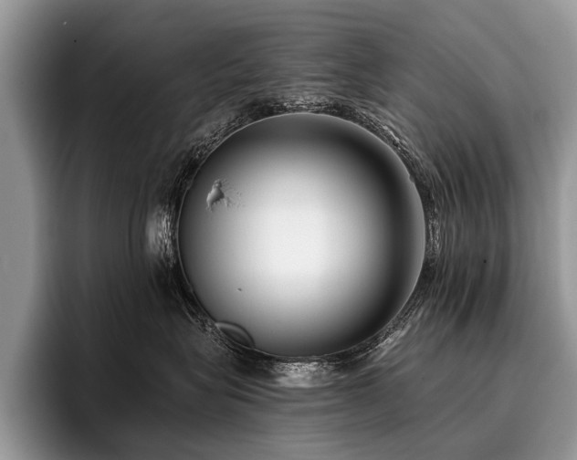 X0000096980575200802081410