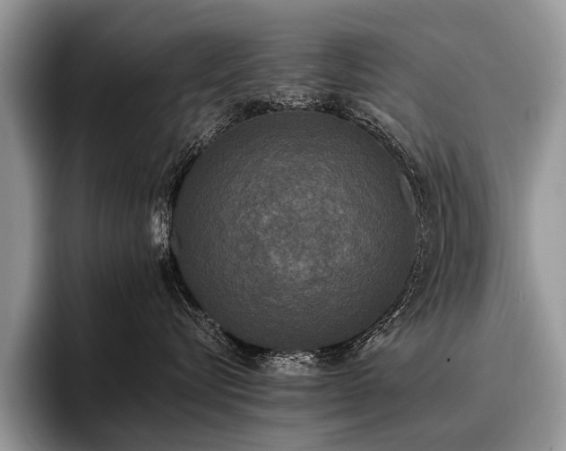 X0000096980576200802081410