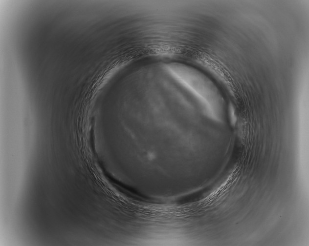 X0000096980577200802081409