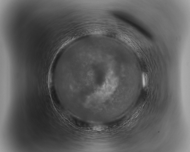 X0000096980579200802081409