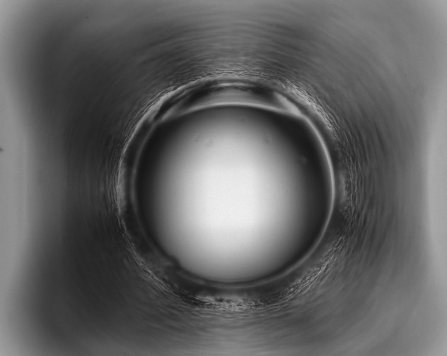 X0000096980580200802081409