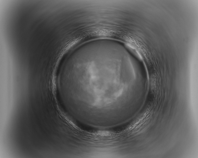 X0000096980581200802081409