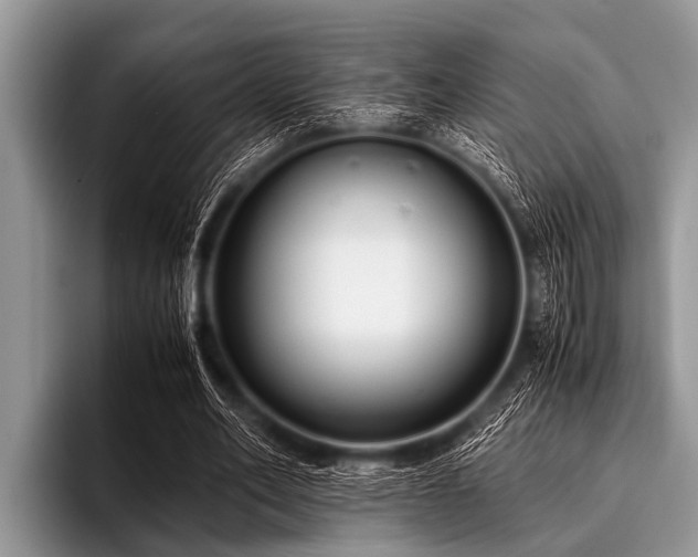 X0000096980582200802081409