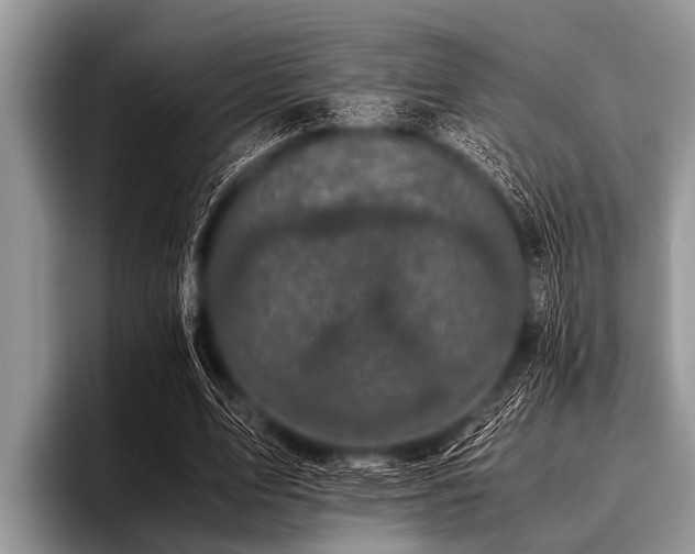 X0000096980583200802081409