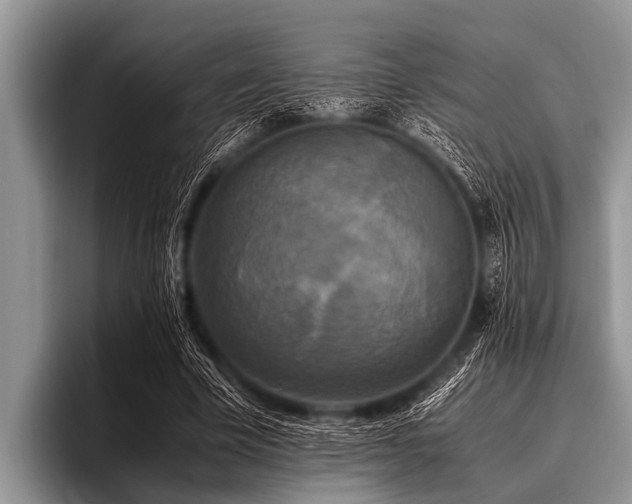 X0000096980585200802081409