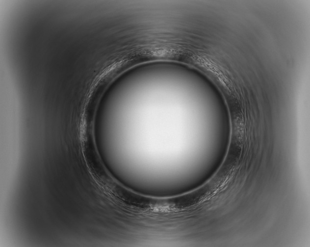 X0000096980587200802081409