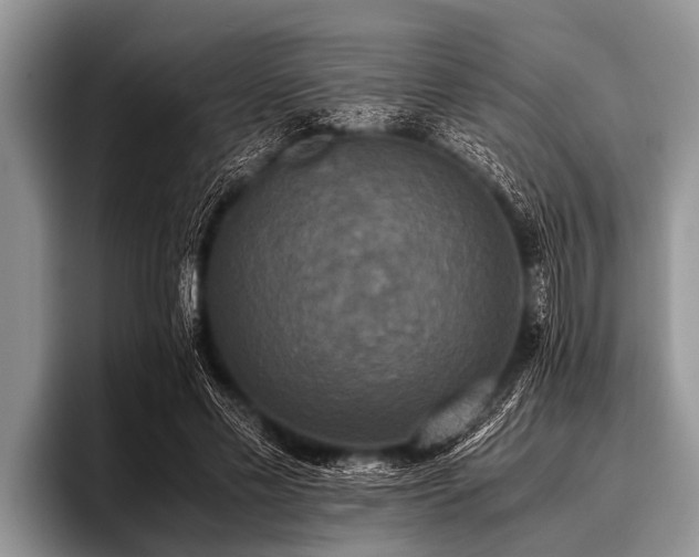 X0000096980589200802081409