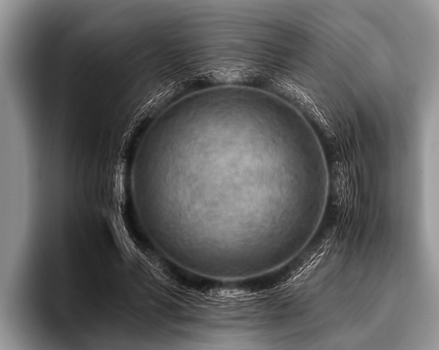 X0000096980590200802081409