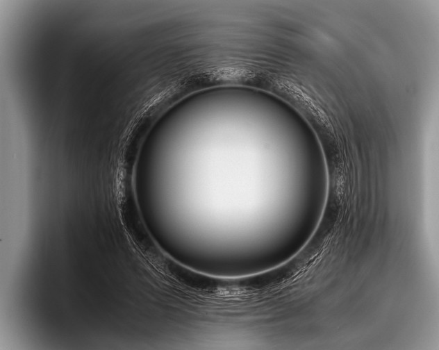 X0000096980591200802081409