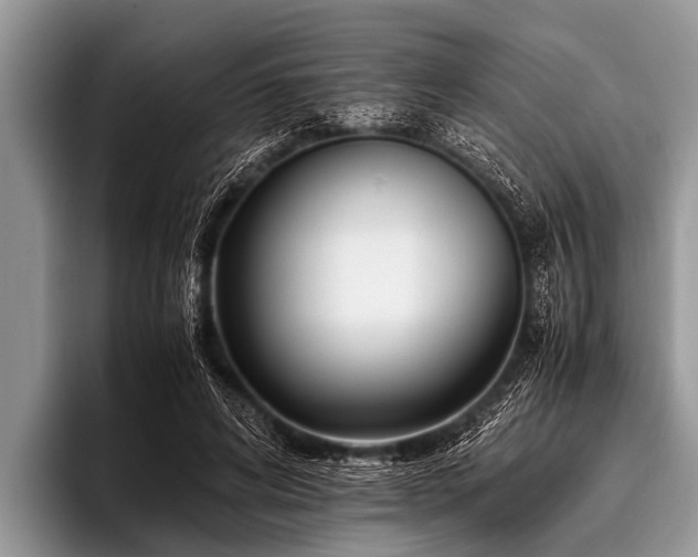 X0000096980592200802081409