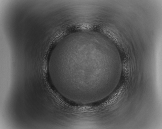 X0000096980593200802081409