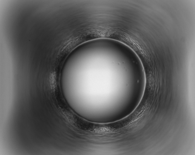 X0000096980594200802081409