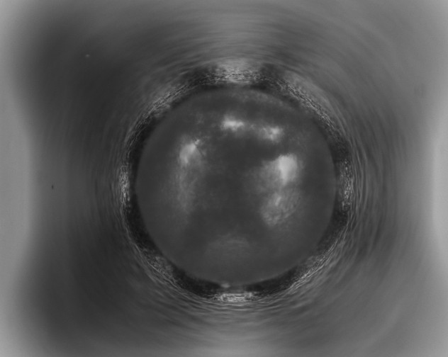 X0000096980595200802081409